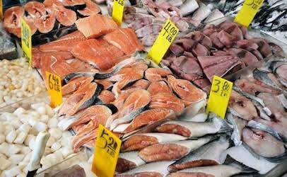 Seafood and fish supply chain